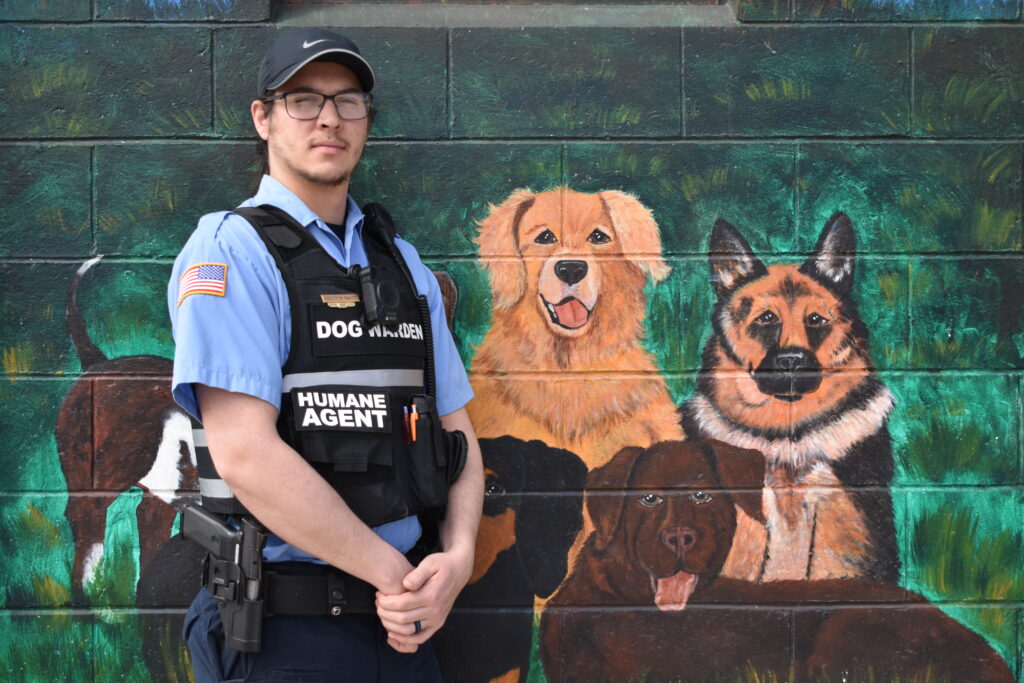 Dog warden outlet